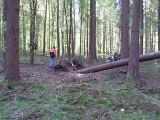 Maibaum_2016 (46).JPG